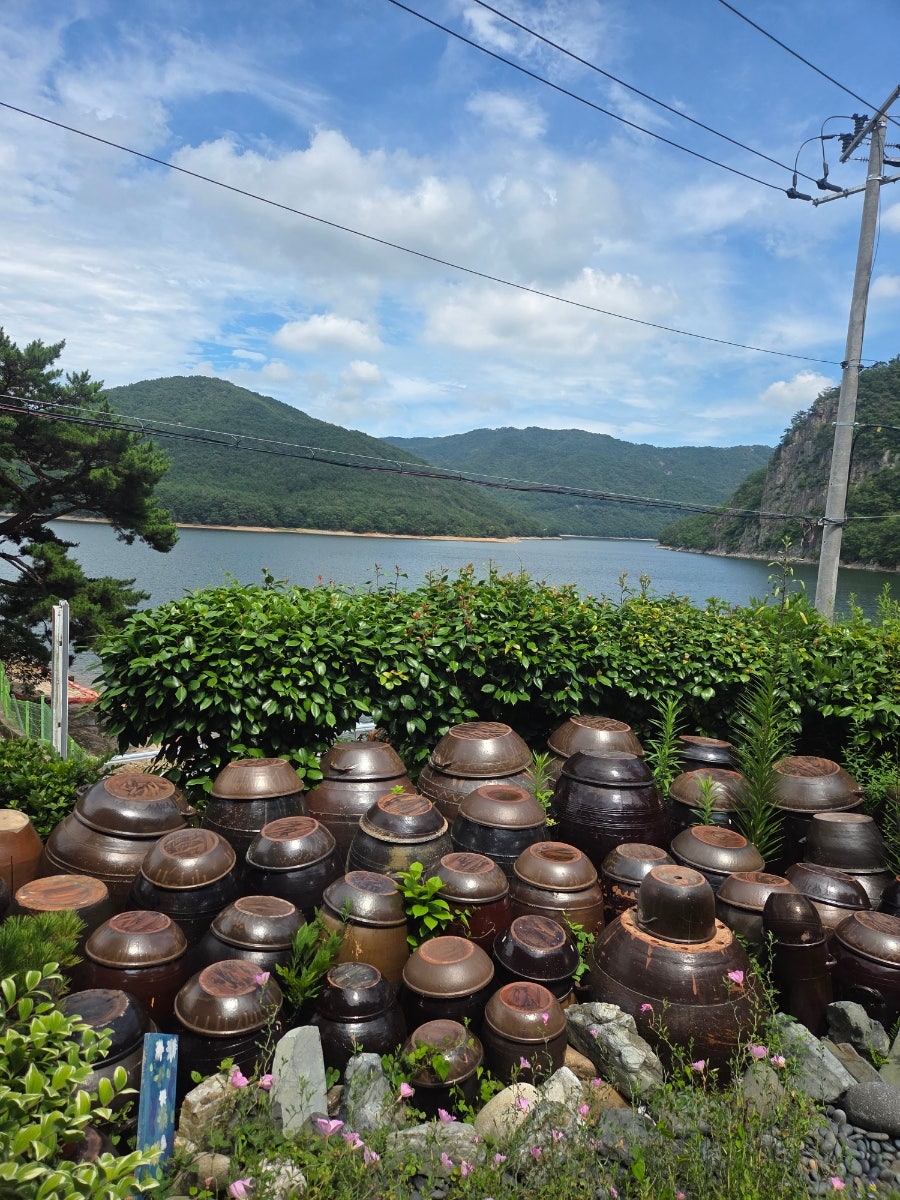 울산집 사진 5