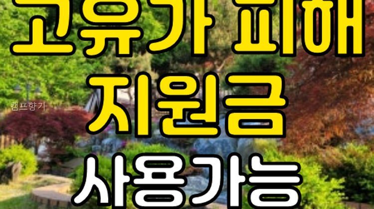 캠프향기 사진 1