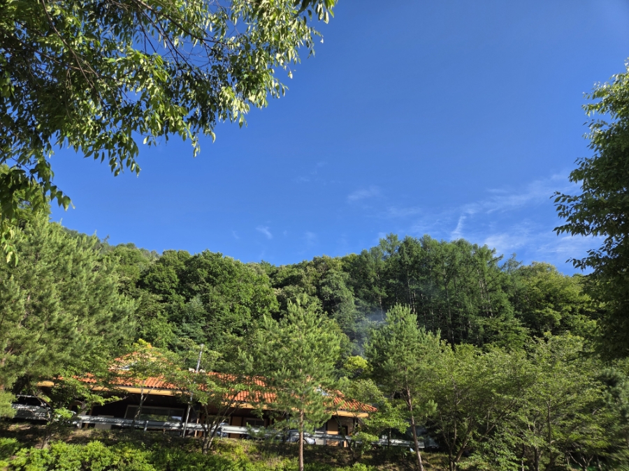 백운산 사진 5