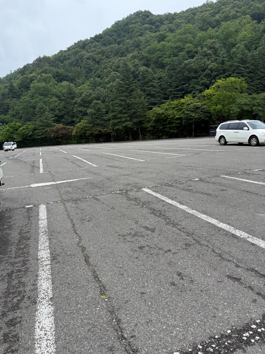서울식당 사진 1