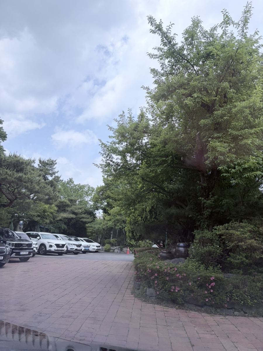 풀꽃세상채식뷔페 사진 3