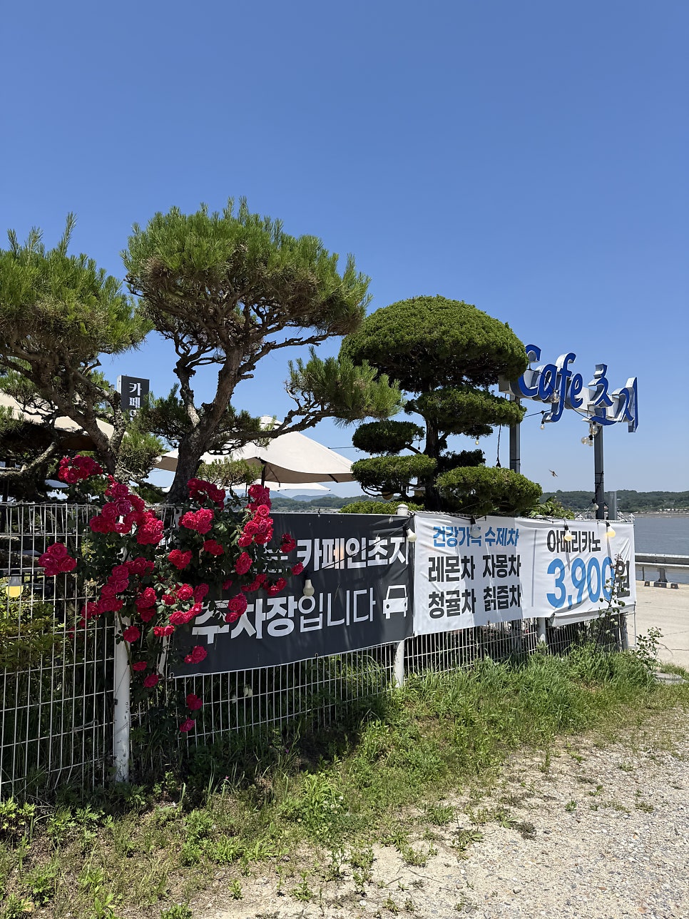 카페인초지 사진 2