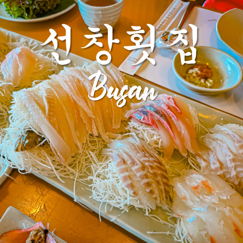 선창횟집 부산 해운대 오션뷰 현지인 맛집 부모님 여행 코스