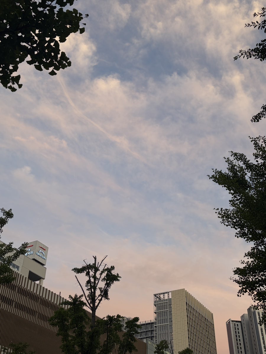 토즈모임센터 홍대점 사진 1