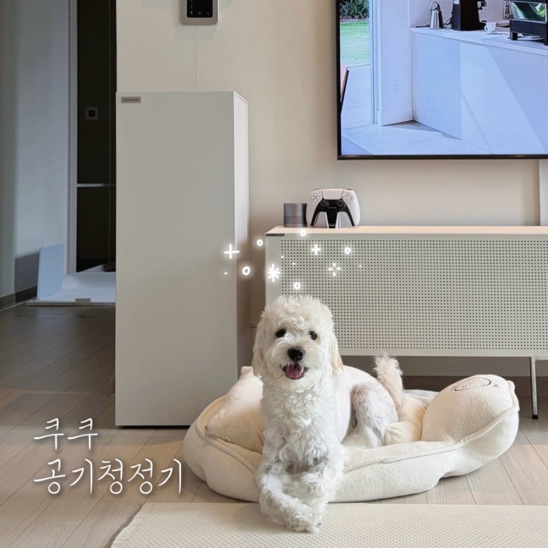 다이슨 처분 후 쿠쿠 인스퓨어 공기청정기로 정착! 바꾼이유/장점/단점