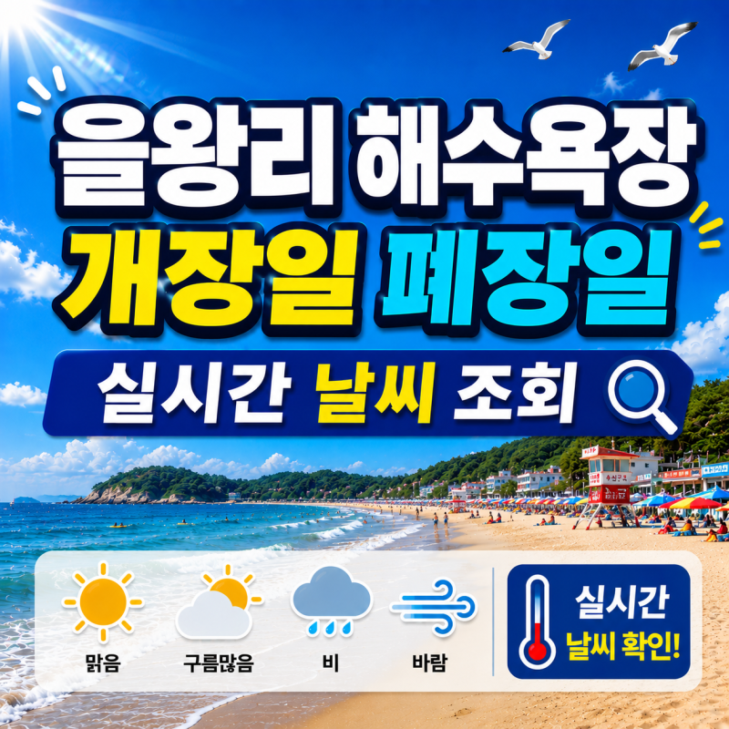 을왕리해수욕장 개장일 폐장일 운영시간｜인천 영종구 실시간 해수욕장 날씨·장마·태풍 예....