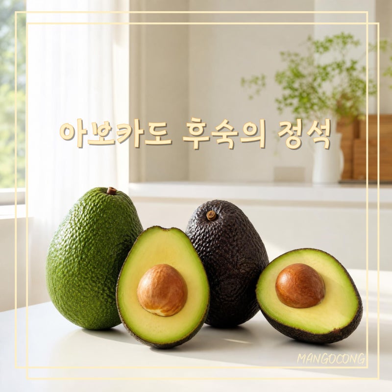 아보카도 후숙법, 보관법부터 손질법까지 한 번에 총정리