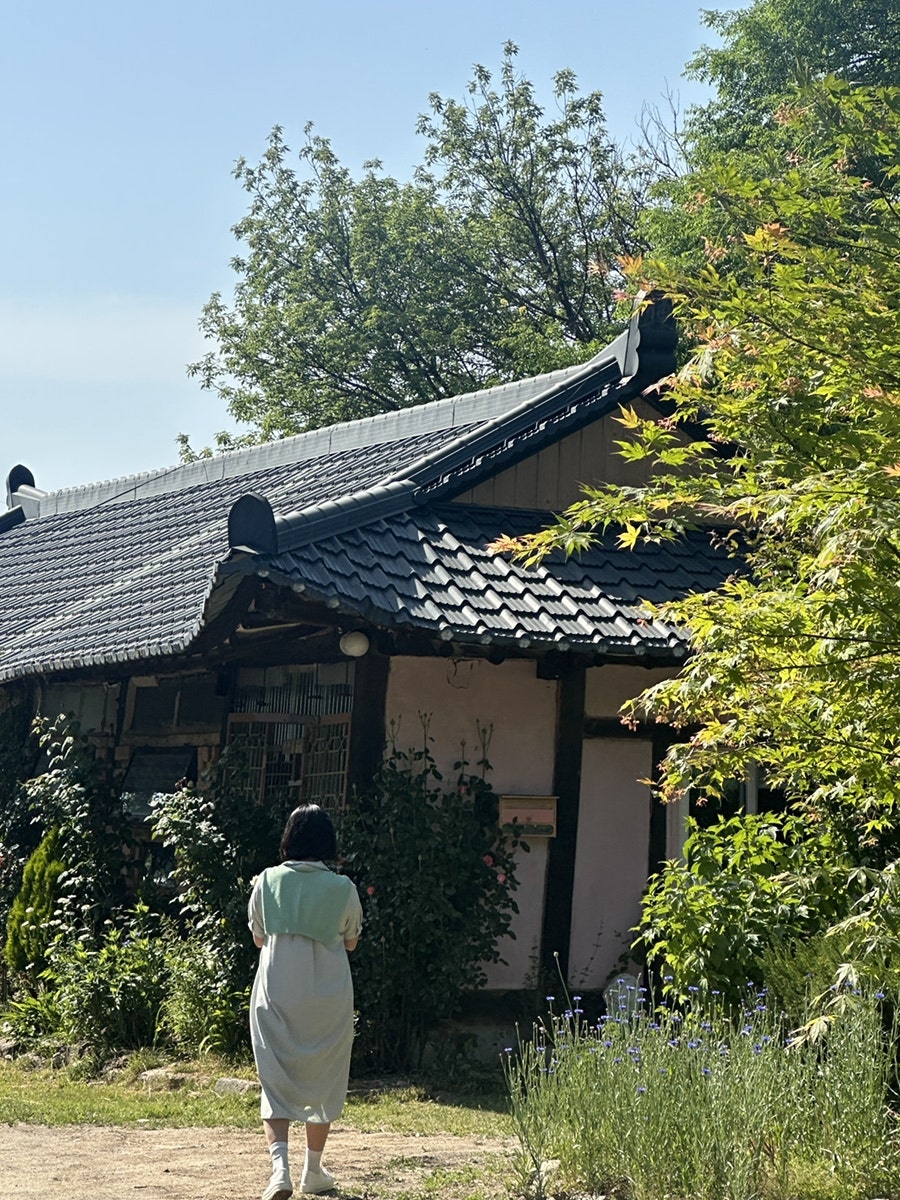 바오밥 사진 3