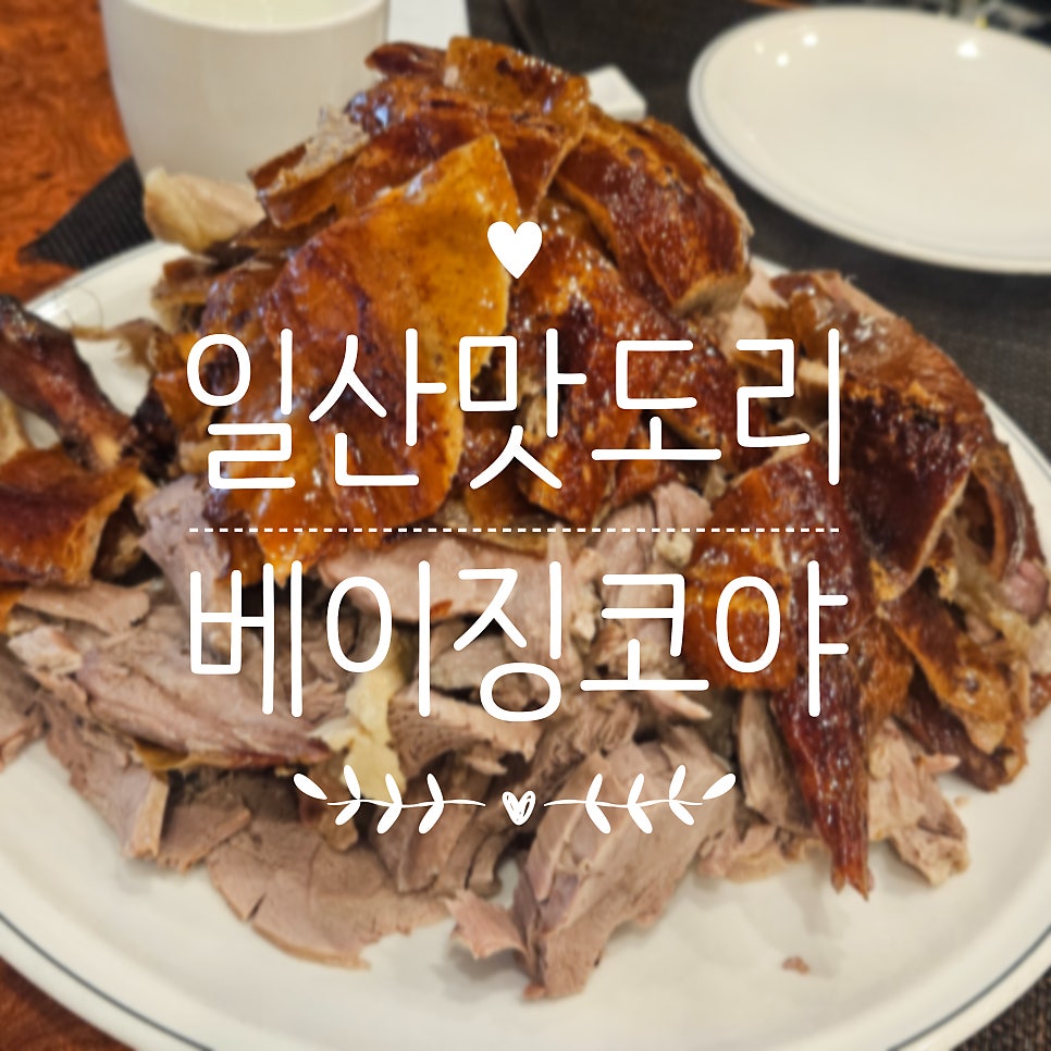 베이징코야 일산점 사진 1