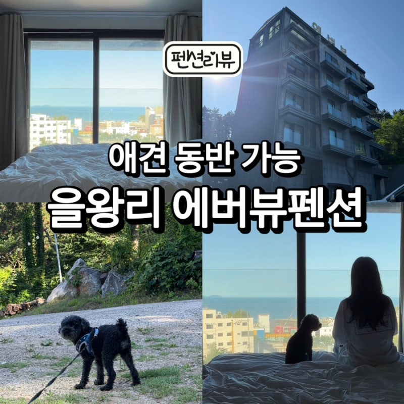을왕리 애견동반 에버뷰 펜션 6만 원대 가성비 펜션 놀다 온 후기