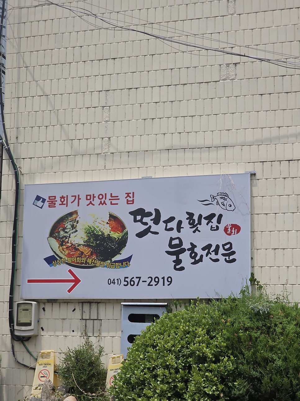 떳다횟집 사진 2