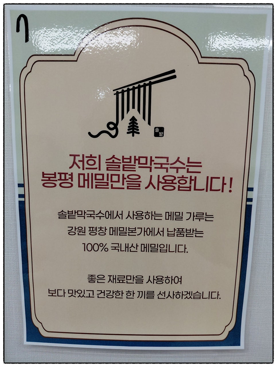 솔밭 사진 4