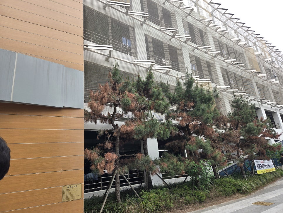 최고당돈가스 운서역점 사진 4