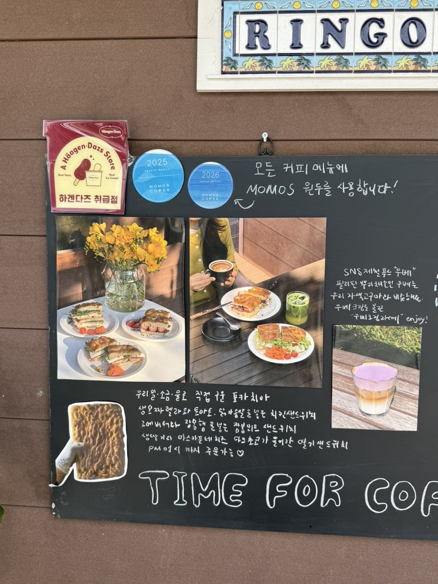키티 사진 3