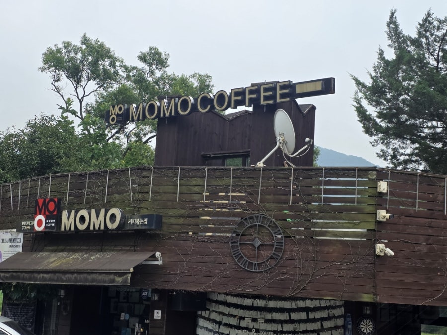 카페모모 사진 5