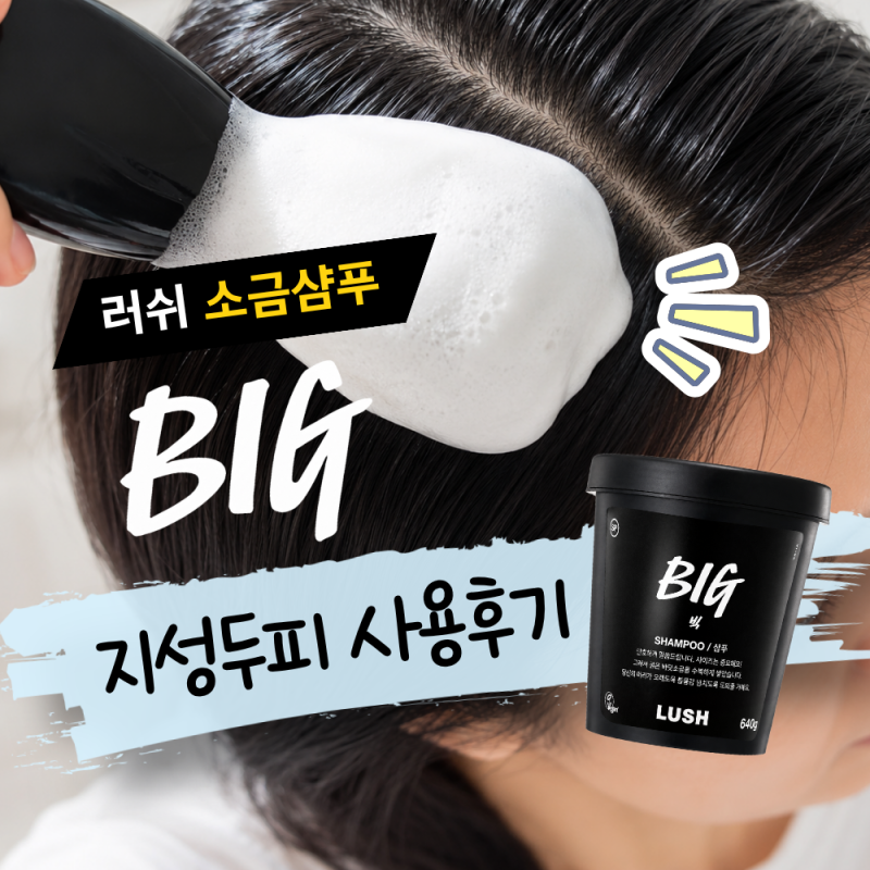 러쉬빅샴푸 한 달 사용후기 | 손상모 지성샴푸 여름 두피스케일링 사용법