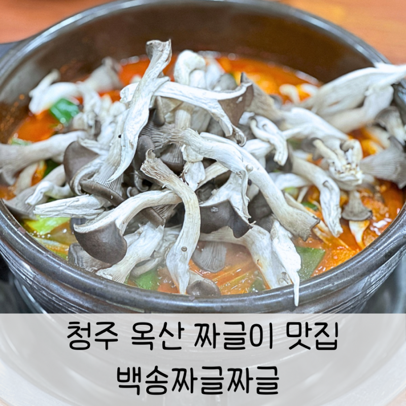 청주 옥산 짜글이 맛집 백송식당 백송짜글짜글