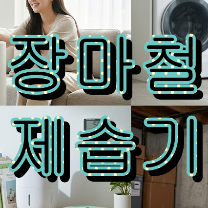 습한 장마철 제습기 구매 도움 좀 드릴게요