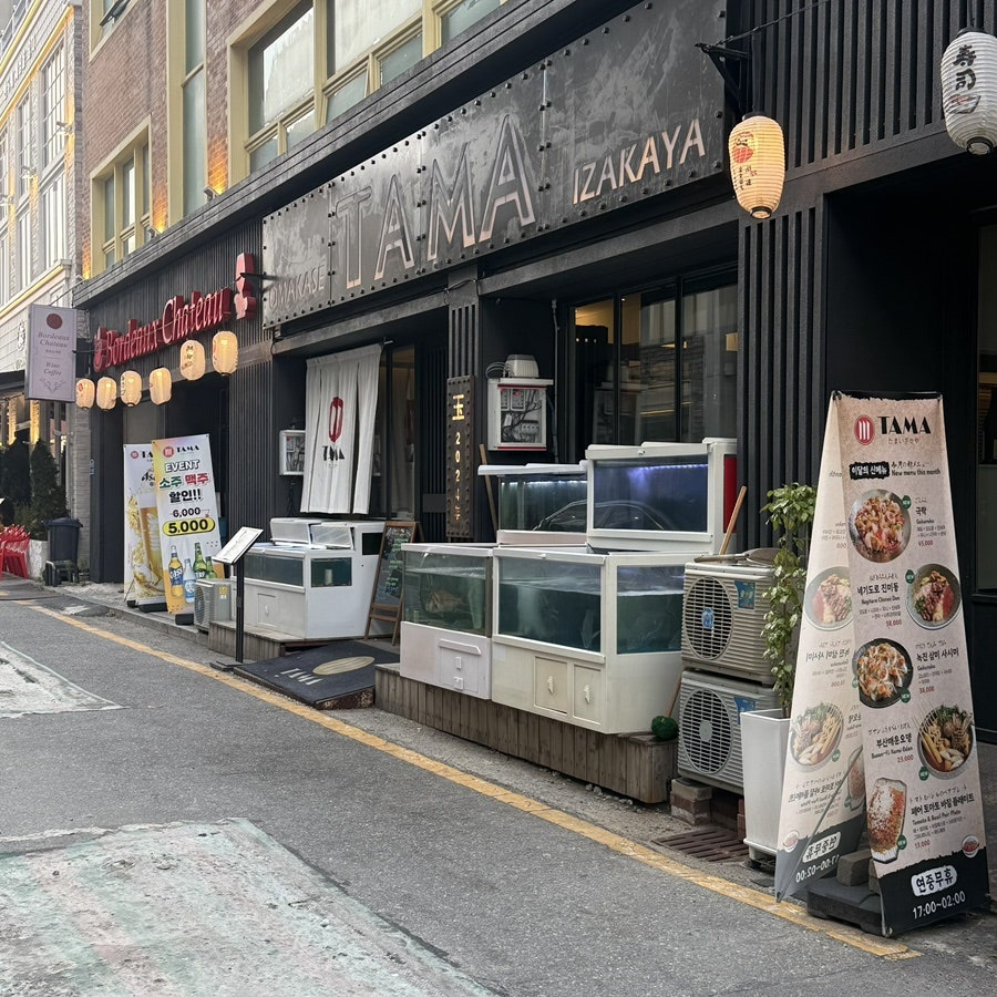 타마 사진 1