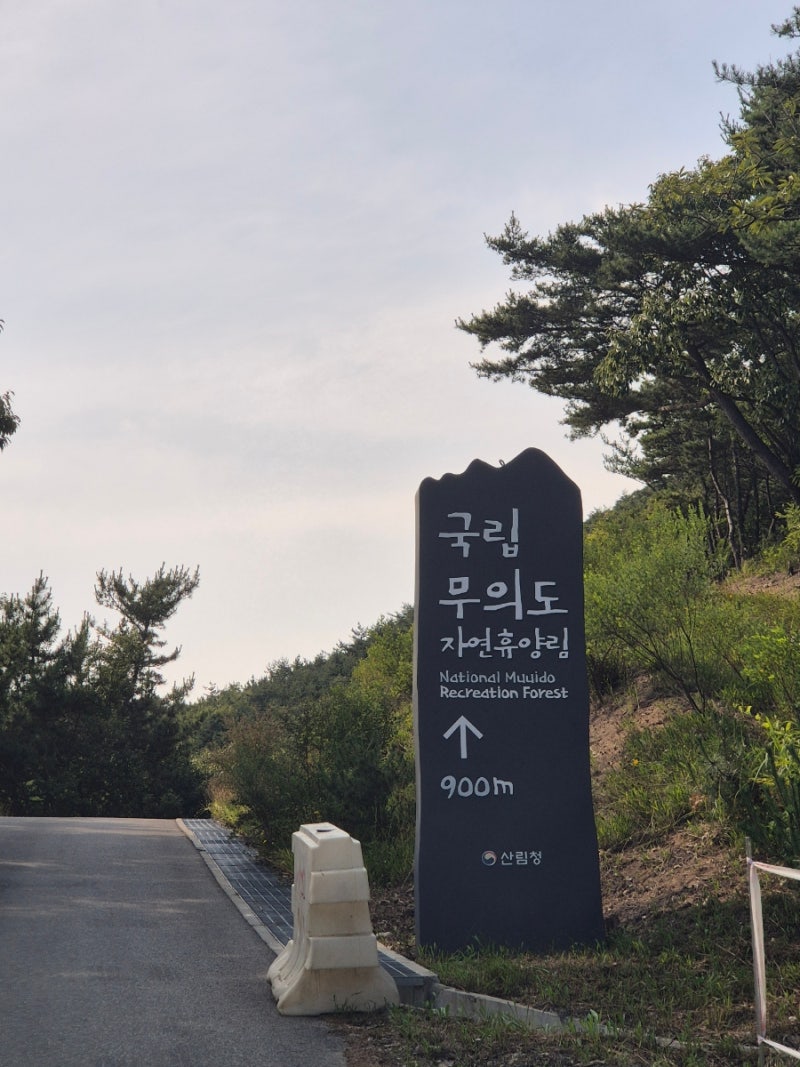 [아기랑 인천] 무의도자연휴양림 숲속의 집 '선갑도' 1박 2일 후기