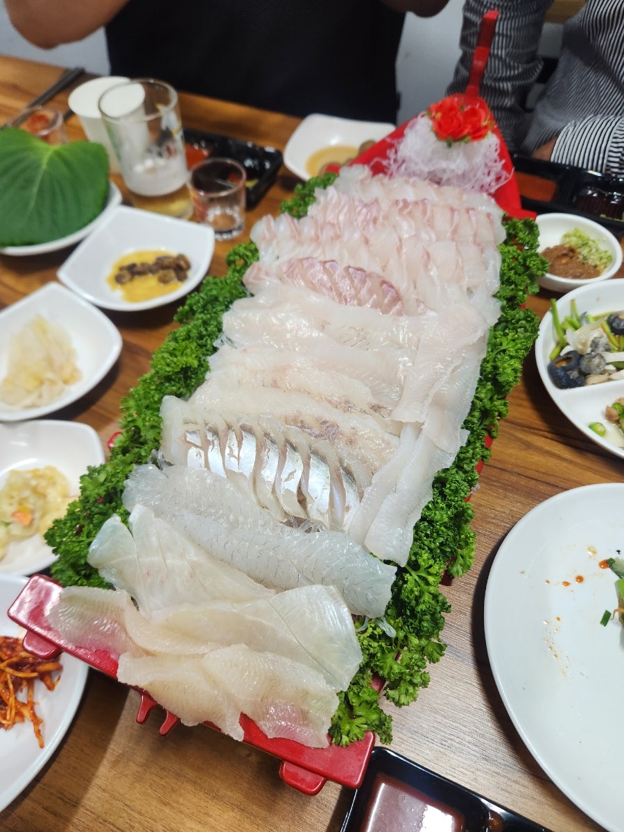 어류도감 사진 1