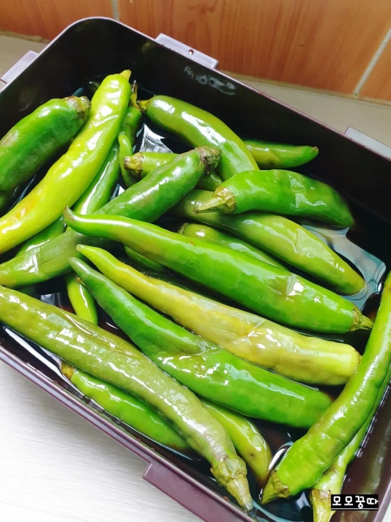 청양고추.아삭이고추.오이고추장아찌_고추장아찌 만들기 숙성하기✅