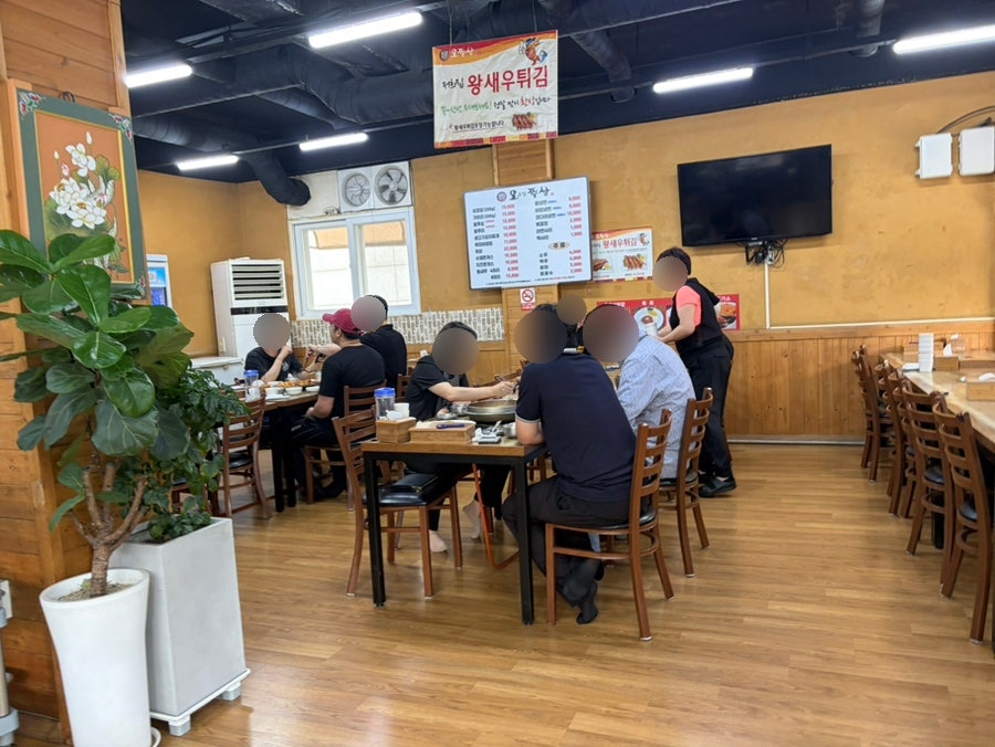 오고집쭈삼 사진 3