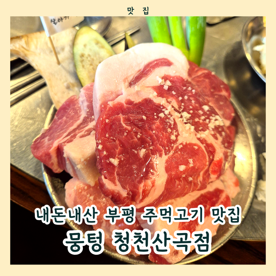 뭉텅 사진 1
