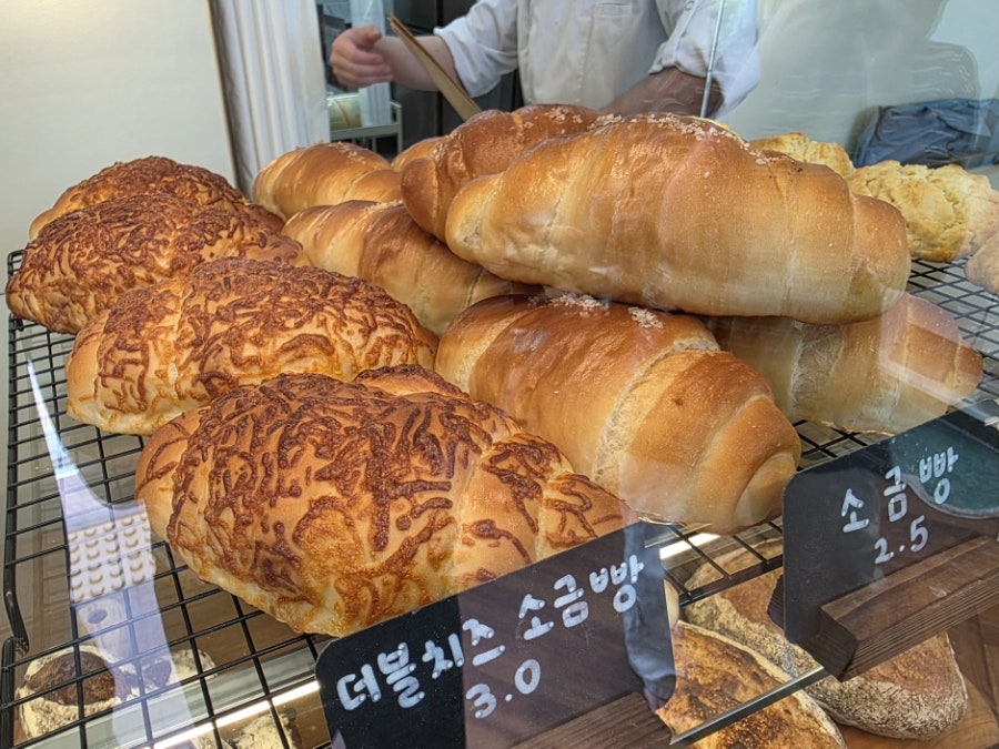 담밀 사진 2