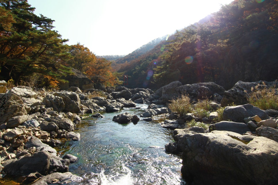 알프스식당 사진 6