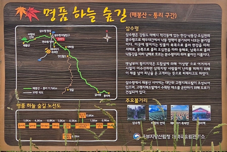 구봉산 사진 6