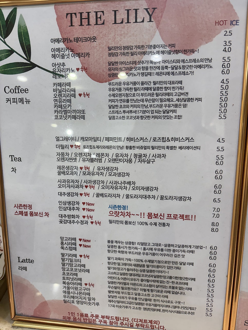 더릴리 사진 3
