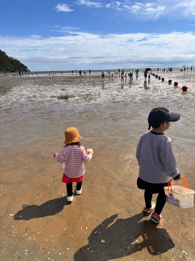 부산 아이랑 가볼만한 곳 무료 해루질 가능한 사하구 : 다대포해수욕장