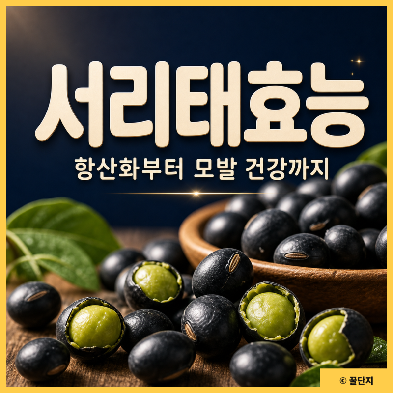 서리태 효능과 부작용 볶은 서리태 콩물 먹는법