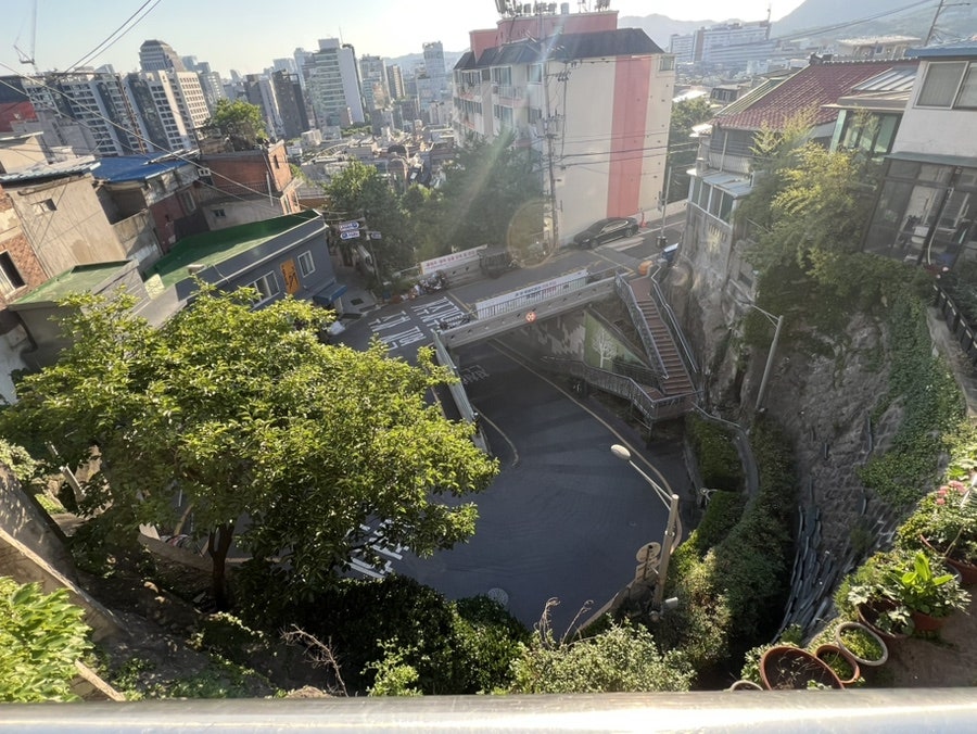 띡 사진 2
