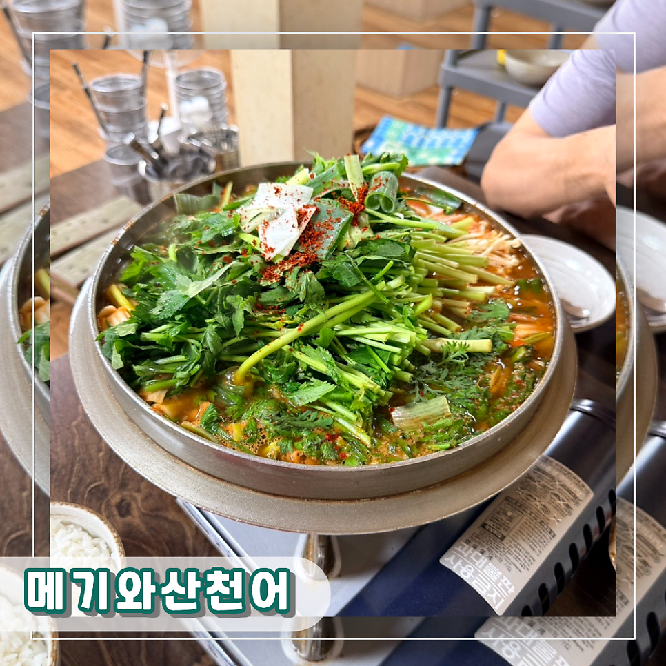 메기와산천어 사진 1