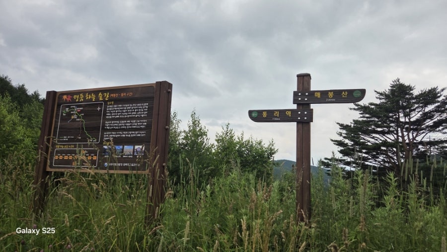 구봉산 사진 5