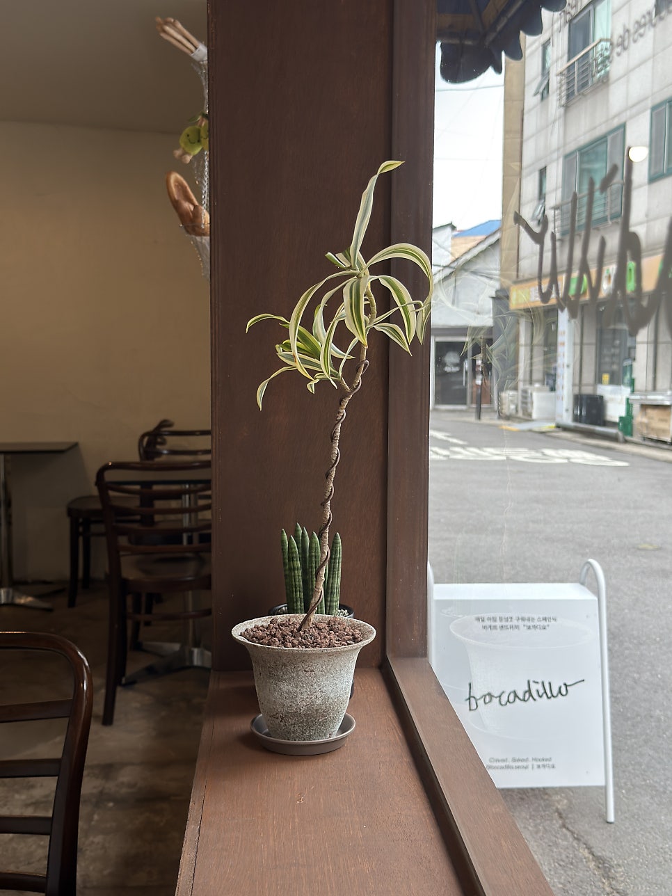 보까디요 사진 6