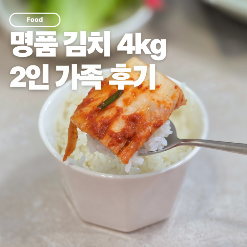 조선호텔 김치 4kg 2인 가족도 한달 먹기 좋은 컬리 추천템 내돈내산 후기