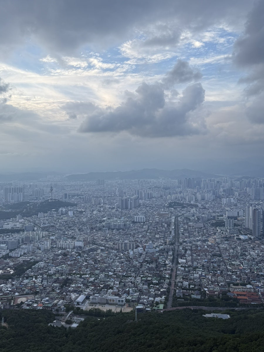 육솔 사진 5