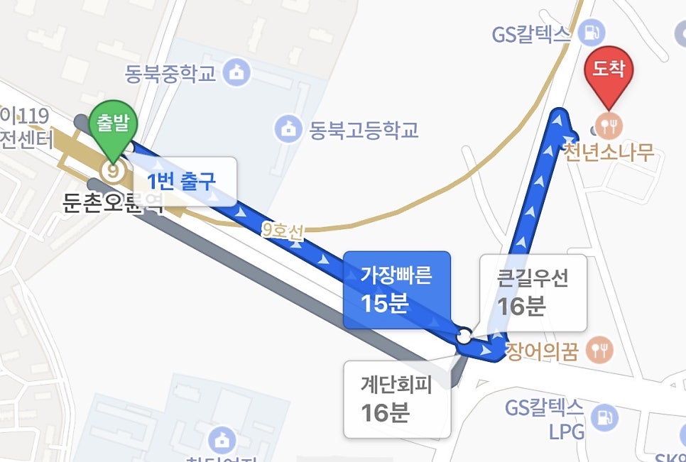 천년소나무 사진 4