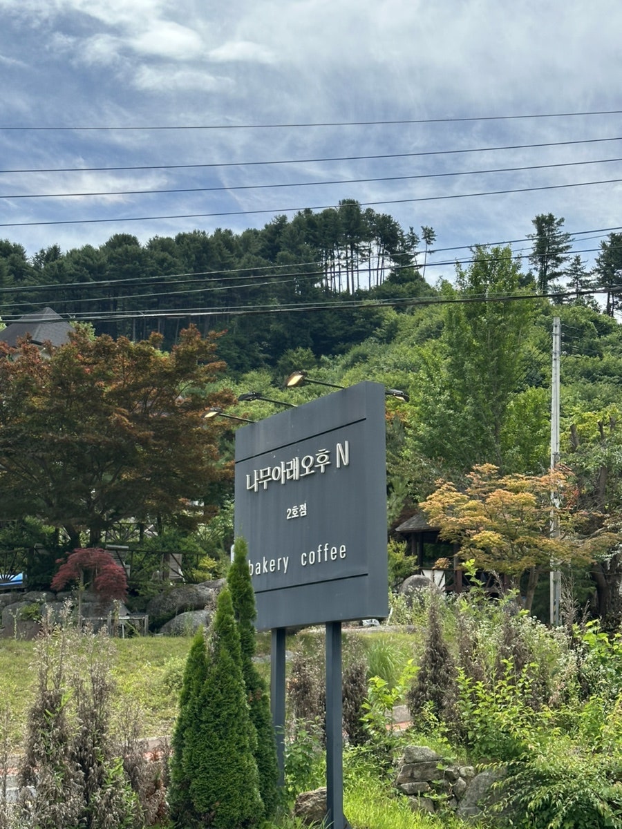 나무아래오후N 사진 2