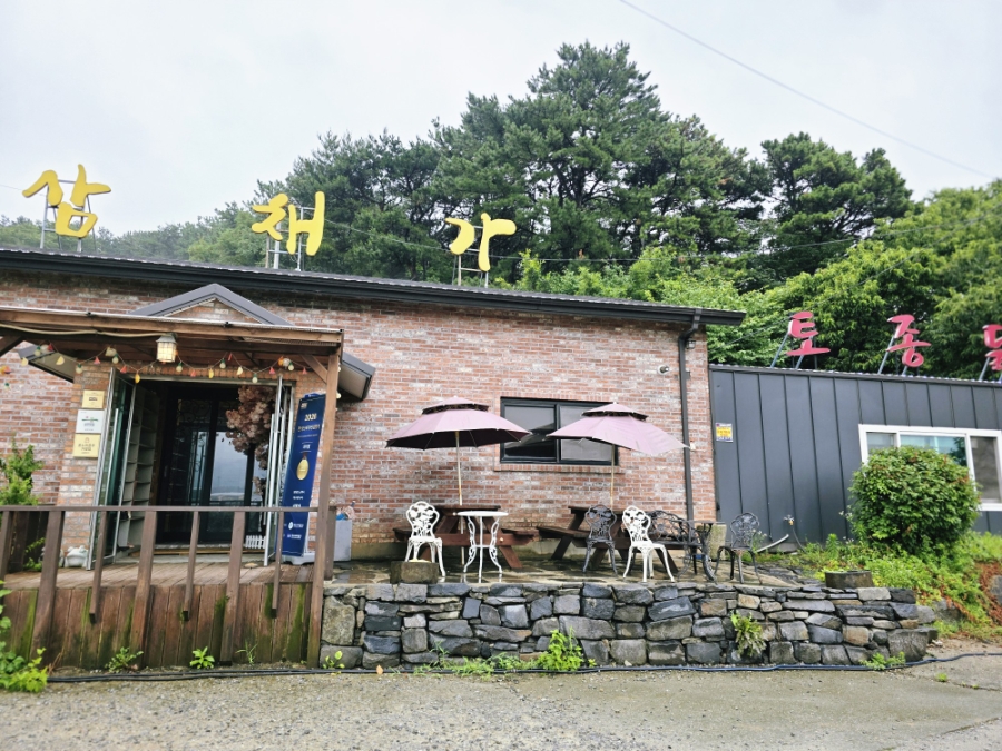 삼채가 사진 4