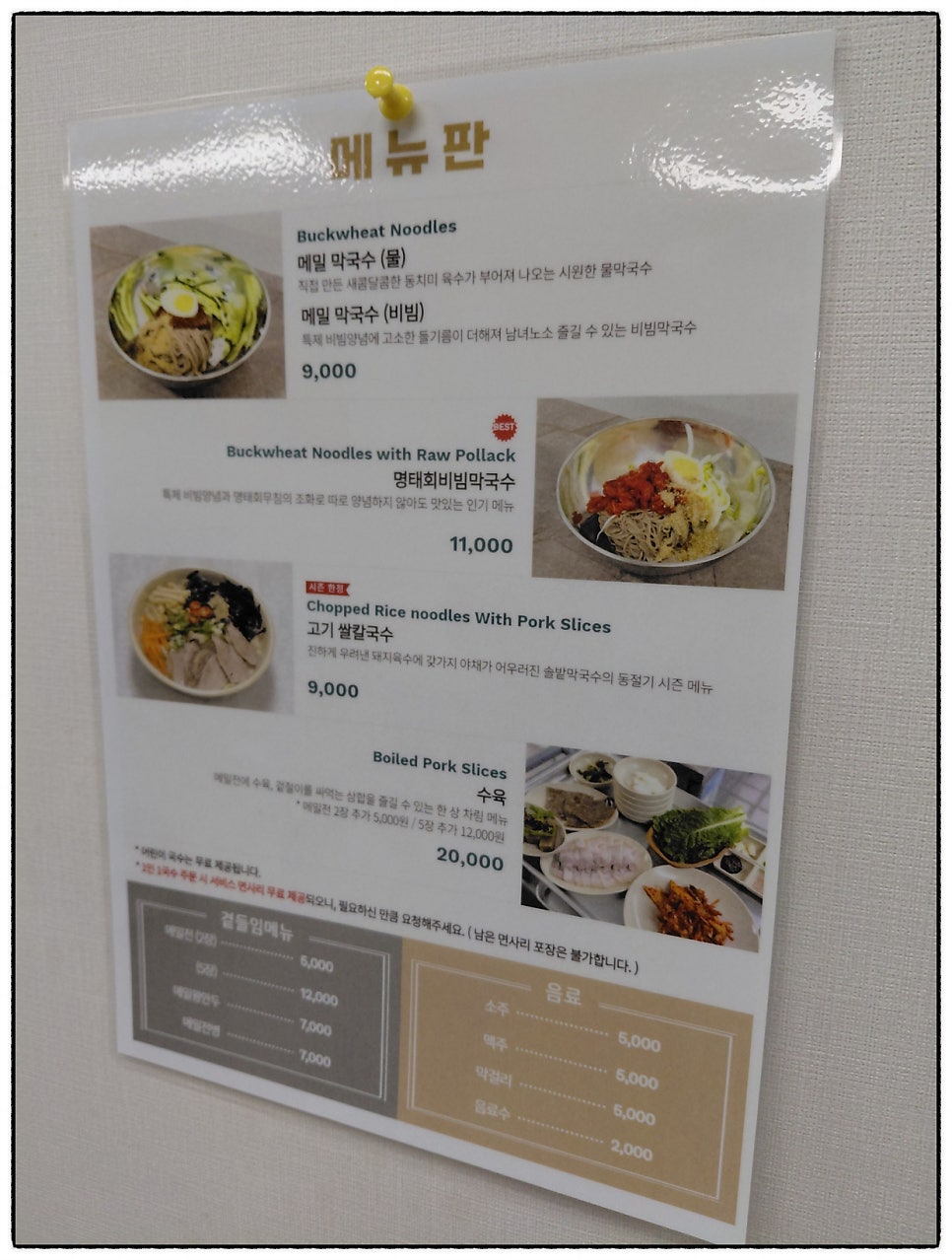 솔밭 사진 2