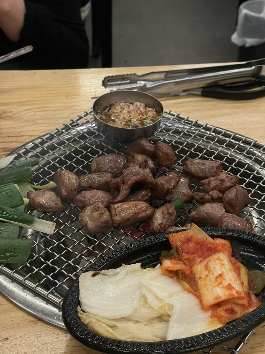 을지갈매기 사진 1
