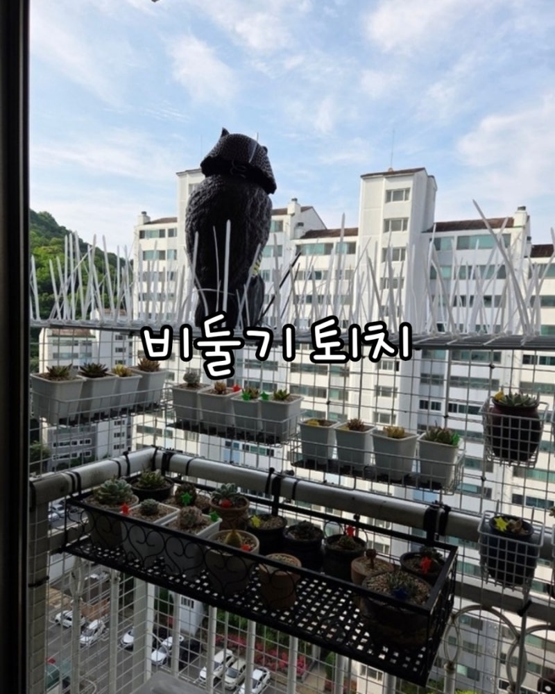 실외기밑비둘기퇴치작전/베란다실외기비둘기/베란다비둘기/비둘기퇴치/올빼미모형/다이소....