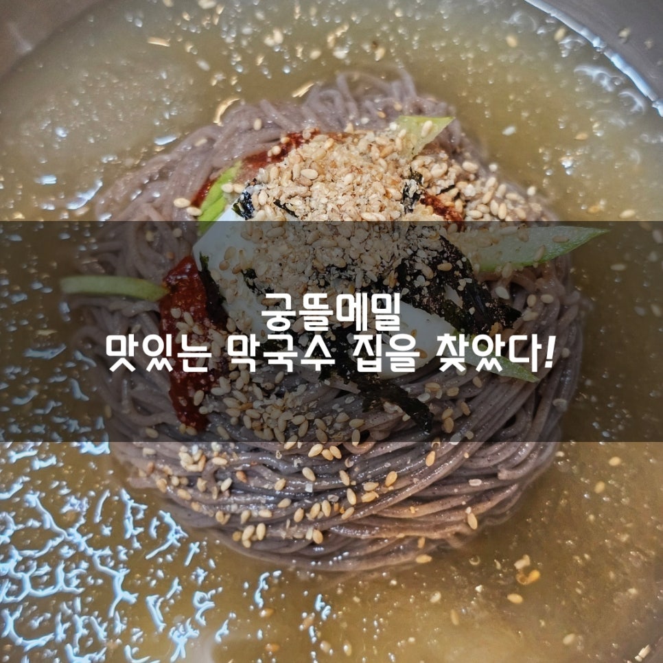 궁뜰메밀 사진 1