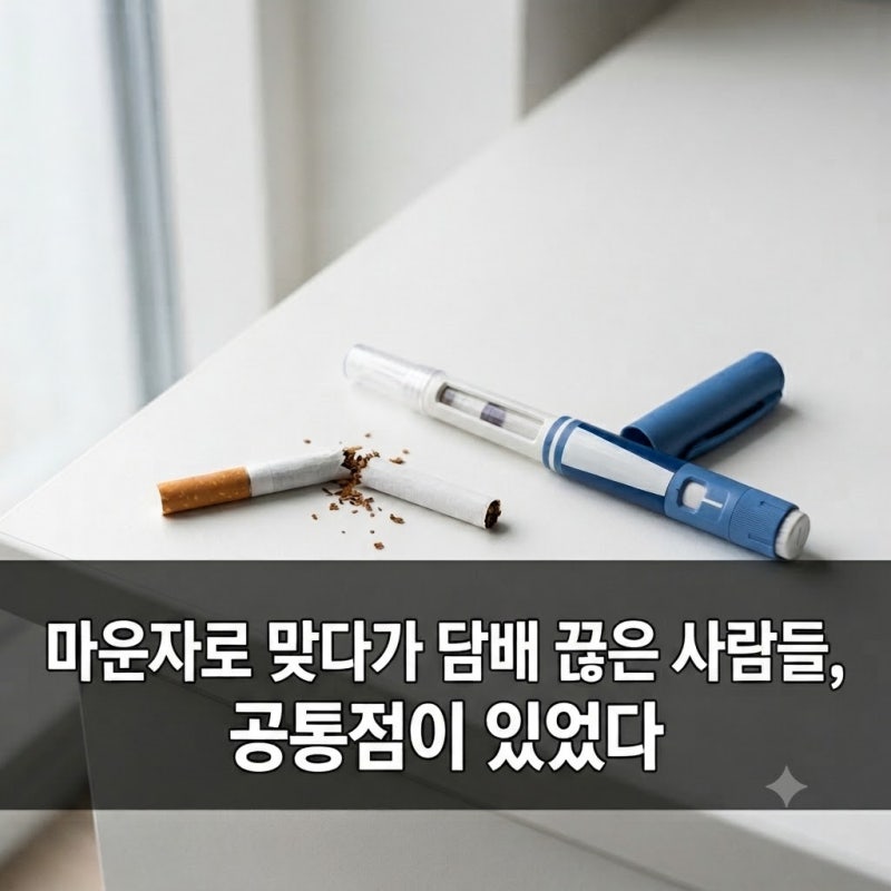 마운자로 맞다가 담배 끊은 사람들, 공통점이 있었다