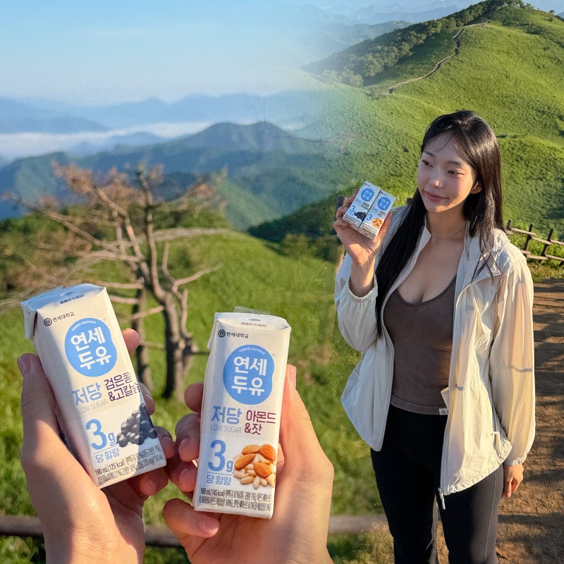 식사대용으로 먹어본 연세두유 저당두유 후기 검은콩&고칼슘, 아몬드&잣