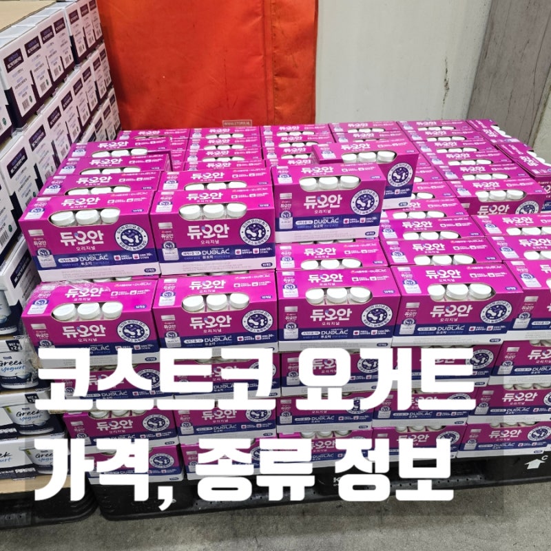 코스트코 그릭요거트 가격 종류 비교해 보자!